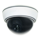 Non-Functioning Dome Camera - Bulk CCTV Store